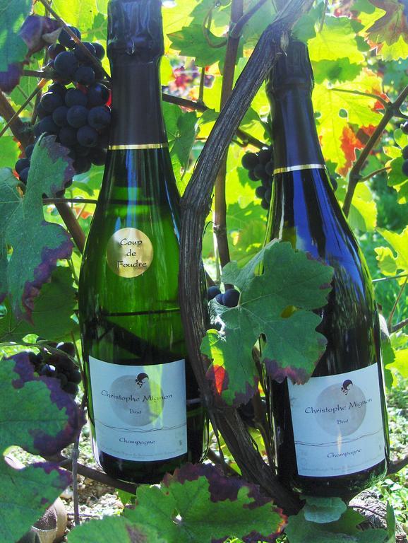 La Boulonne Villa Festigny  Luaran gambar